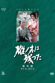 Mominoki wa Nokotta